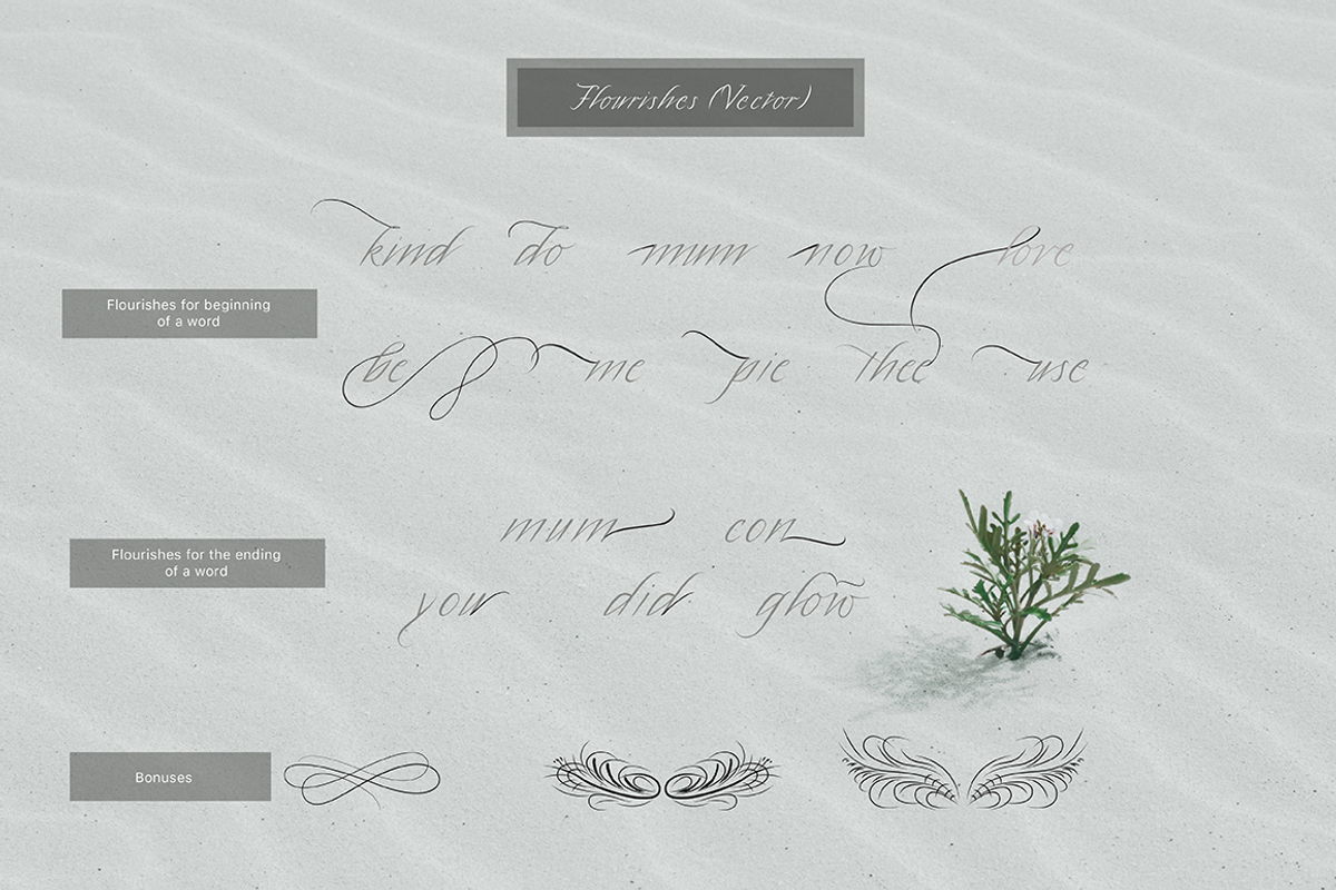 Quinton Script Font, a Script Font by Sala.Ink (Photo 10 of 10)