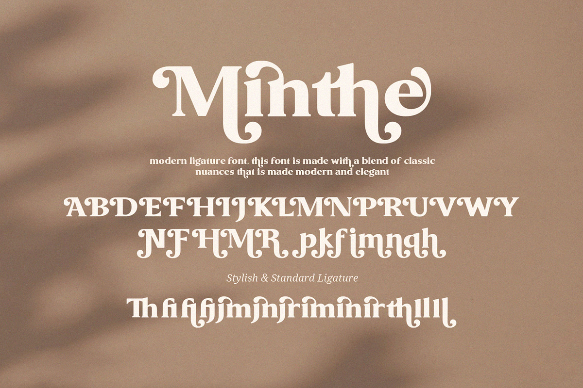 Minthe Elegant Serif Font, a Serif Font by Graphicxell (Photo 8 of 10)
