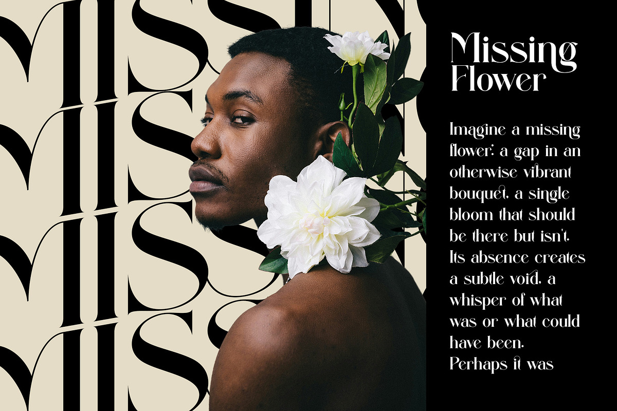 Aiditten Elegant Serif, a Serif Font by Alfinart (Photo 4 of 10)