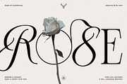 Bespoke Display - Serif & Script Duo, a Serif Font by SilverStag Type Foundry (Thumbnail 3 of 36)
