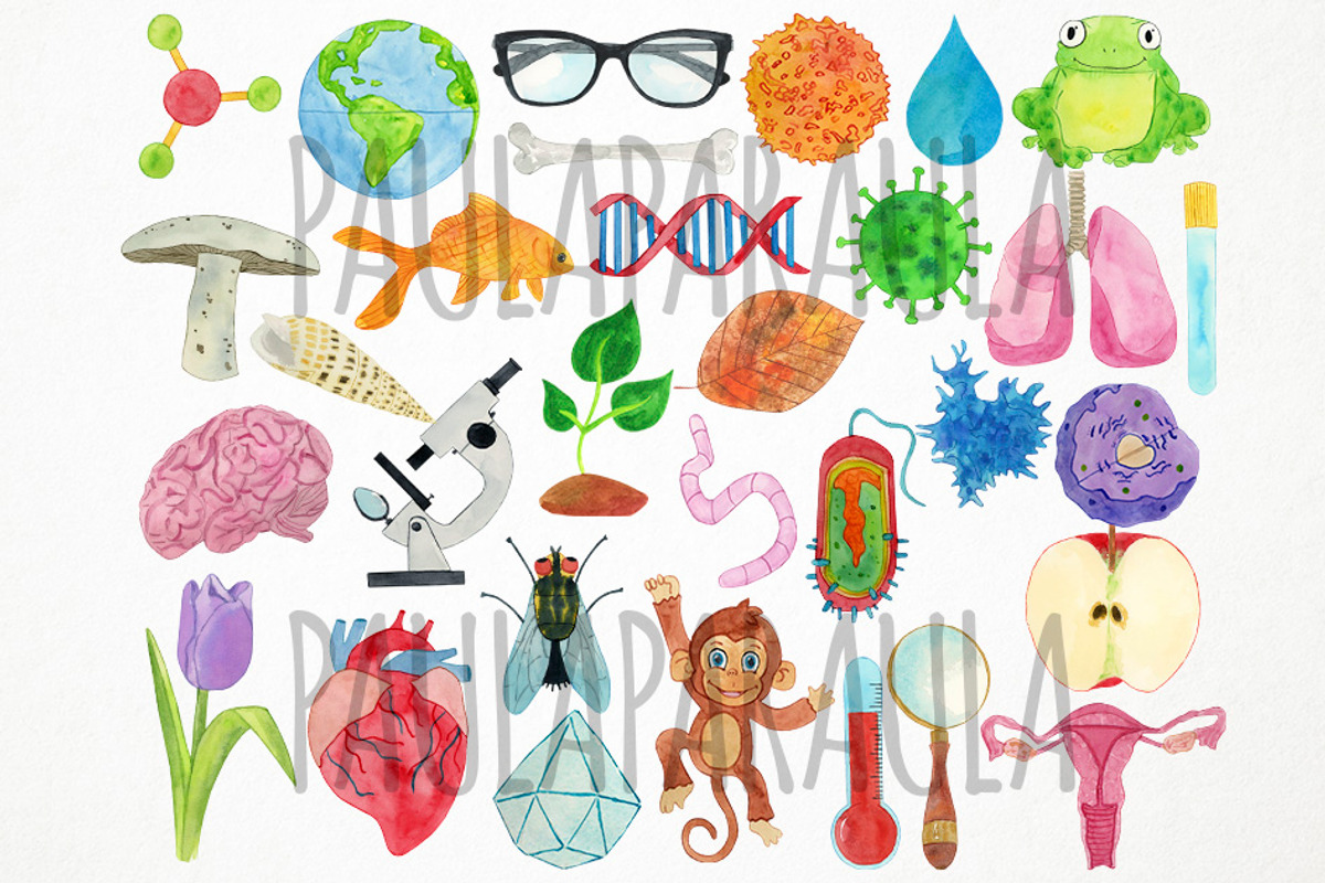 Watercolor Biology Clipart Biologist, an Object Graphic by Paulaparaula (Photo 2 of 3)