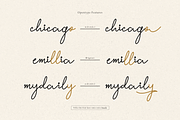 Willey Medium | Monoline Script Font, a Script Font by Denustudios (Thumbnail 7 of 16)