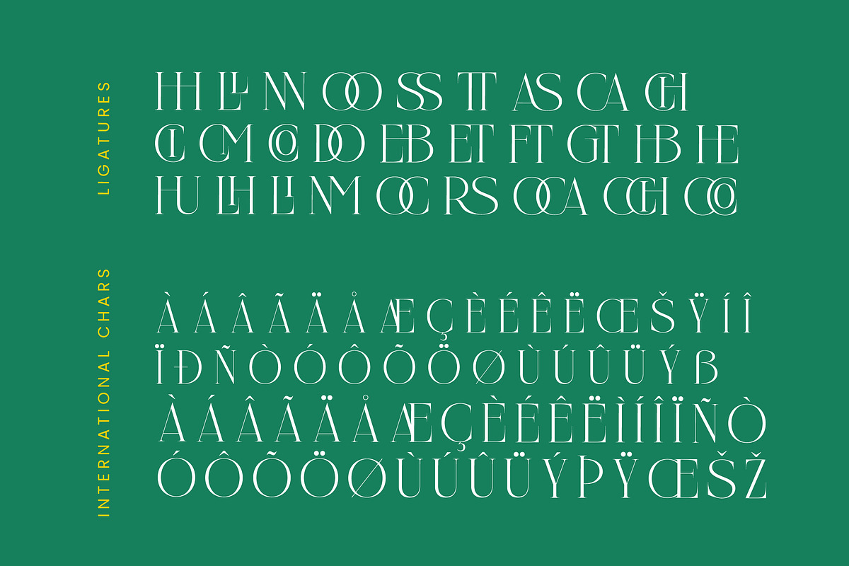Nelhinco Modern Display Serif, a Serif Font by Letterena Studios (Photo 14 of 15)