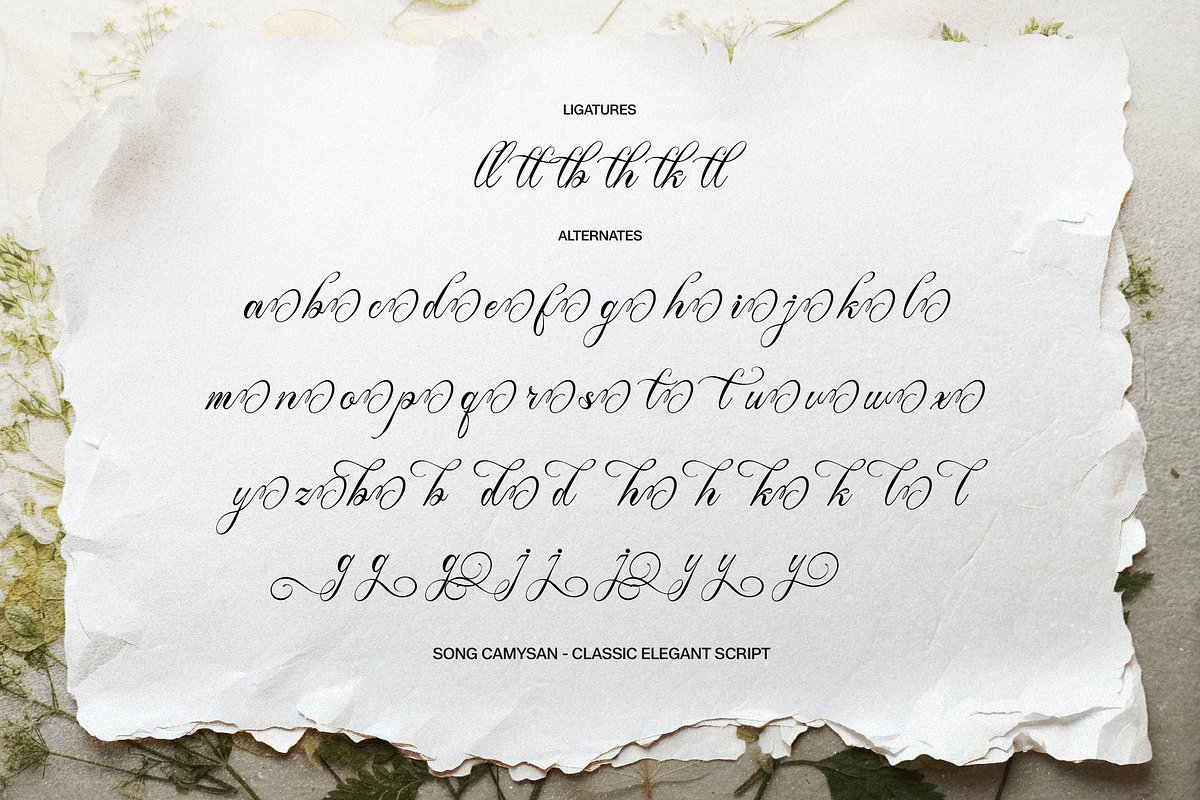 Alventary | Classic Elegant Script, a Script Font by gracetype_studio (Photo 12 of 12)