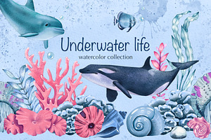 Watercolor Underwater Life Clipart