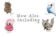Australian Animals Watercolor Bundle, an Animal Illustration by sarahnalder (Thumbnail 2 of 8)