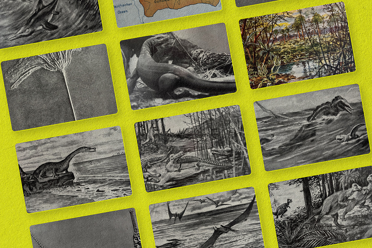 The Age of Dinosaurs, an Illustration by Nomad Visuals (Photo 6 of 10)