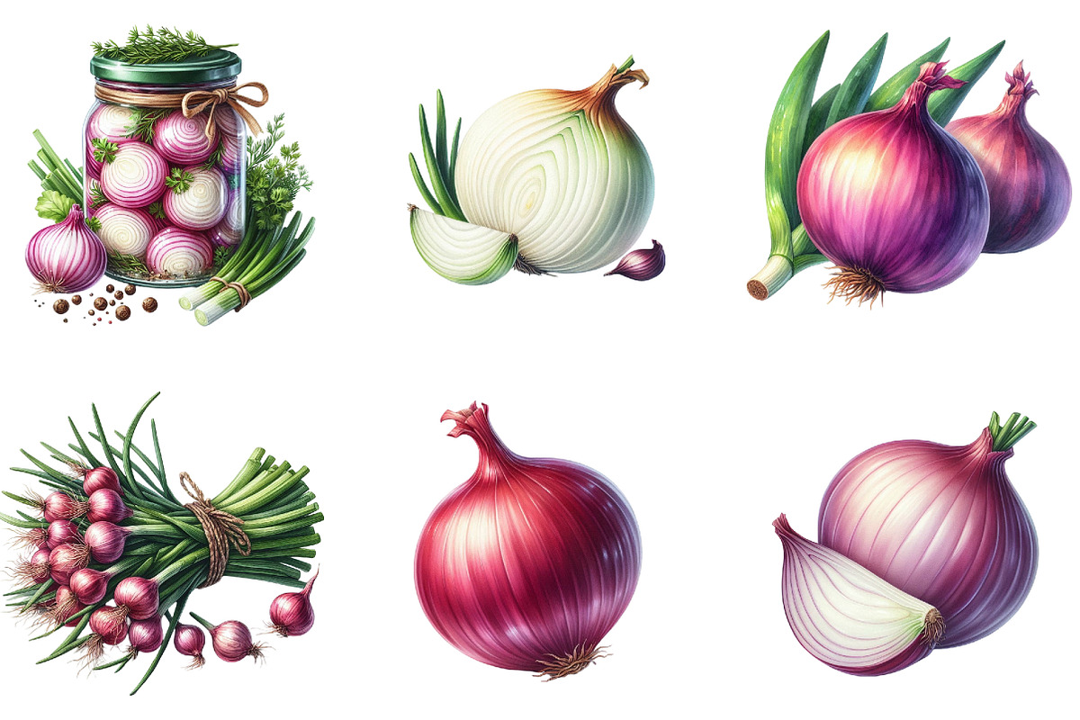 Watercolor Onion Clipart, an Illustration by DreamArtGraphic (Photo 2 of 5)