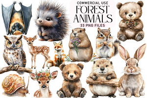 Forest Animals Watercolor Clipart, an Illustration by Daily.Designs