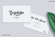 Loving Romance - Elegant Sans Font, a Sans Serif Font by Font Liner (Thumbnail 9 of 12)