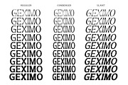 Geximo Family, a Sans Serif Font by IM Studio (Thumbnail 12 of 12)