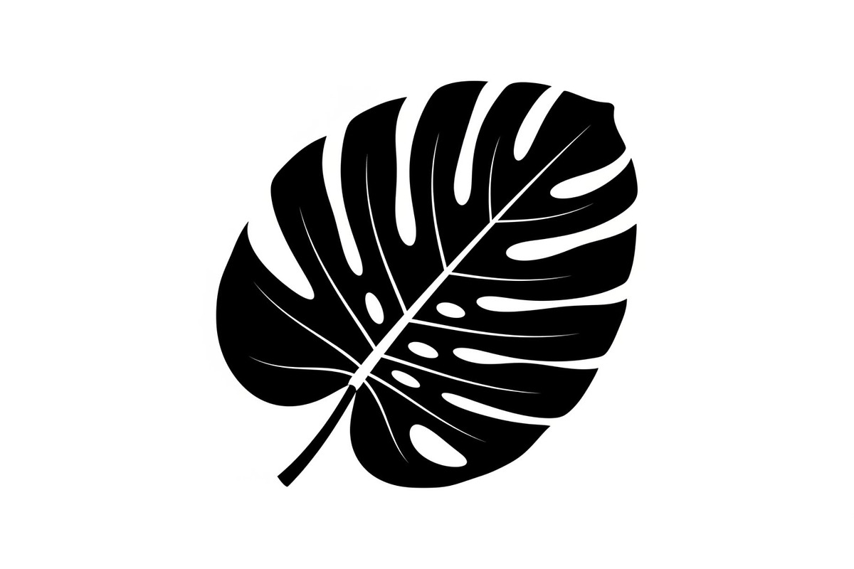 Monstera Leaf Silhouette Bundle, an Illustration by yasushie (Photo 22 of 31)