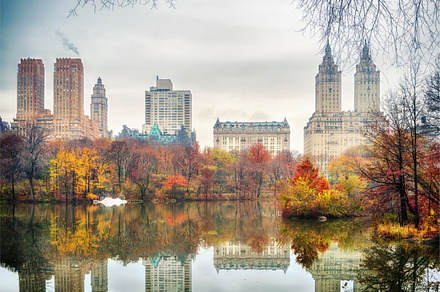 Central park at autumn morning containing central park, park, and new york, an Architecture Photo by sborisov