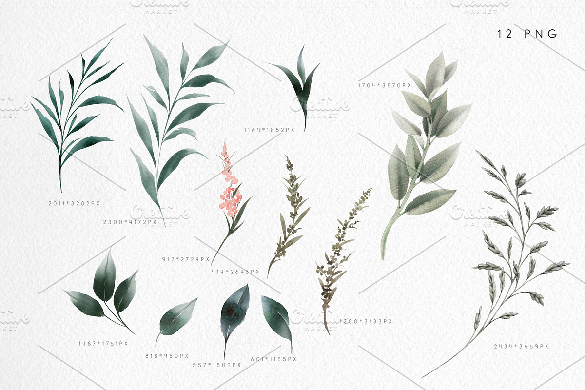 Watercolor flowers clipart (PNG), a Texture Illustration by ollalya (Photo 3 of 9)