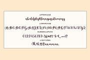 Anulika Script, a Script Font by Bosstype Studio (Thumbnail 5 of 8)