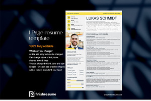 Financial Advisor Resume Template