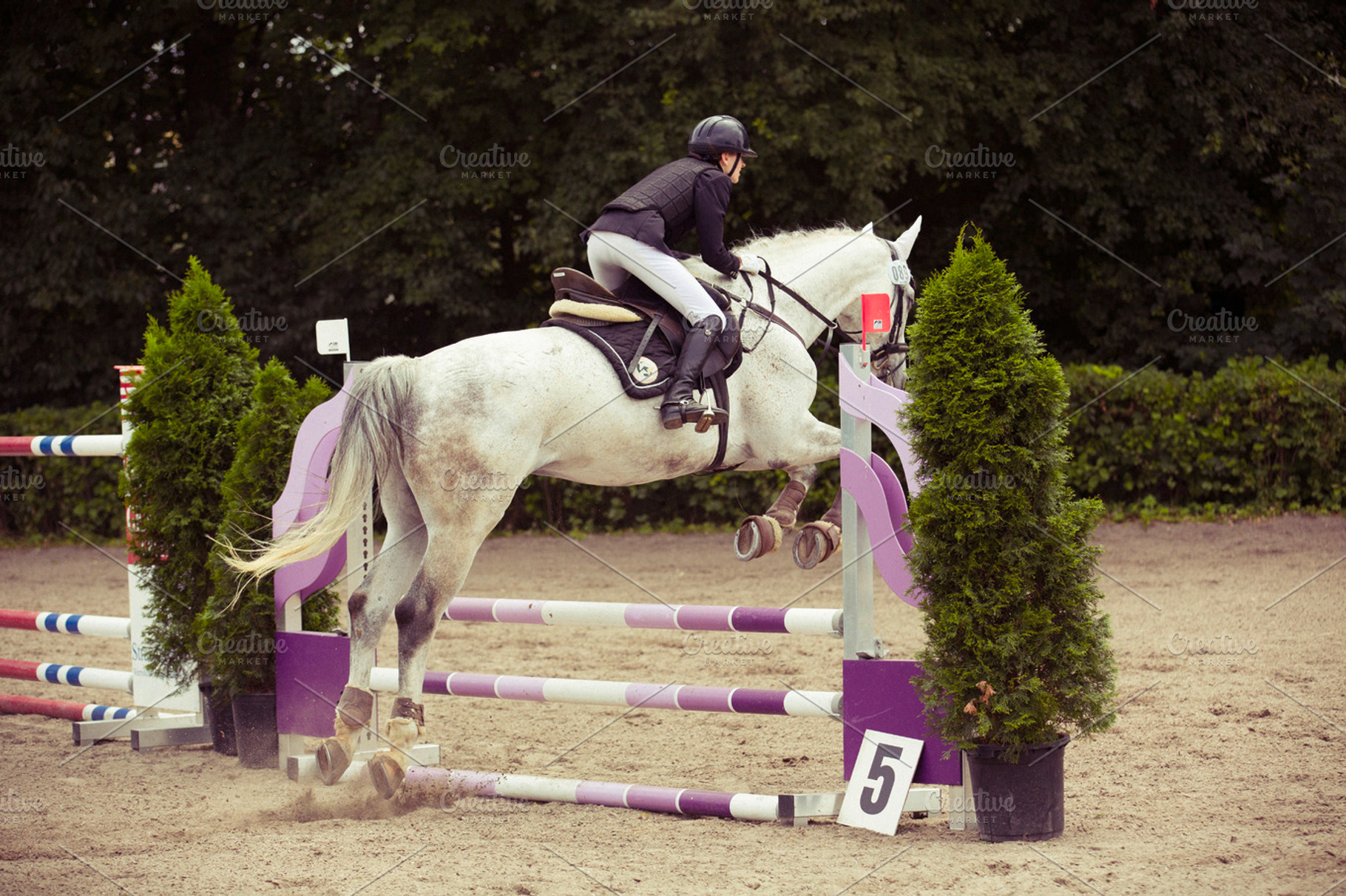 Horse show jumping stock photograph