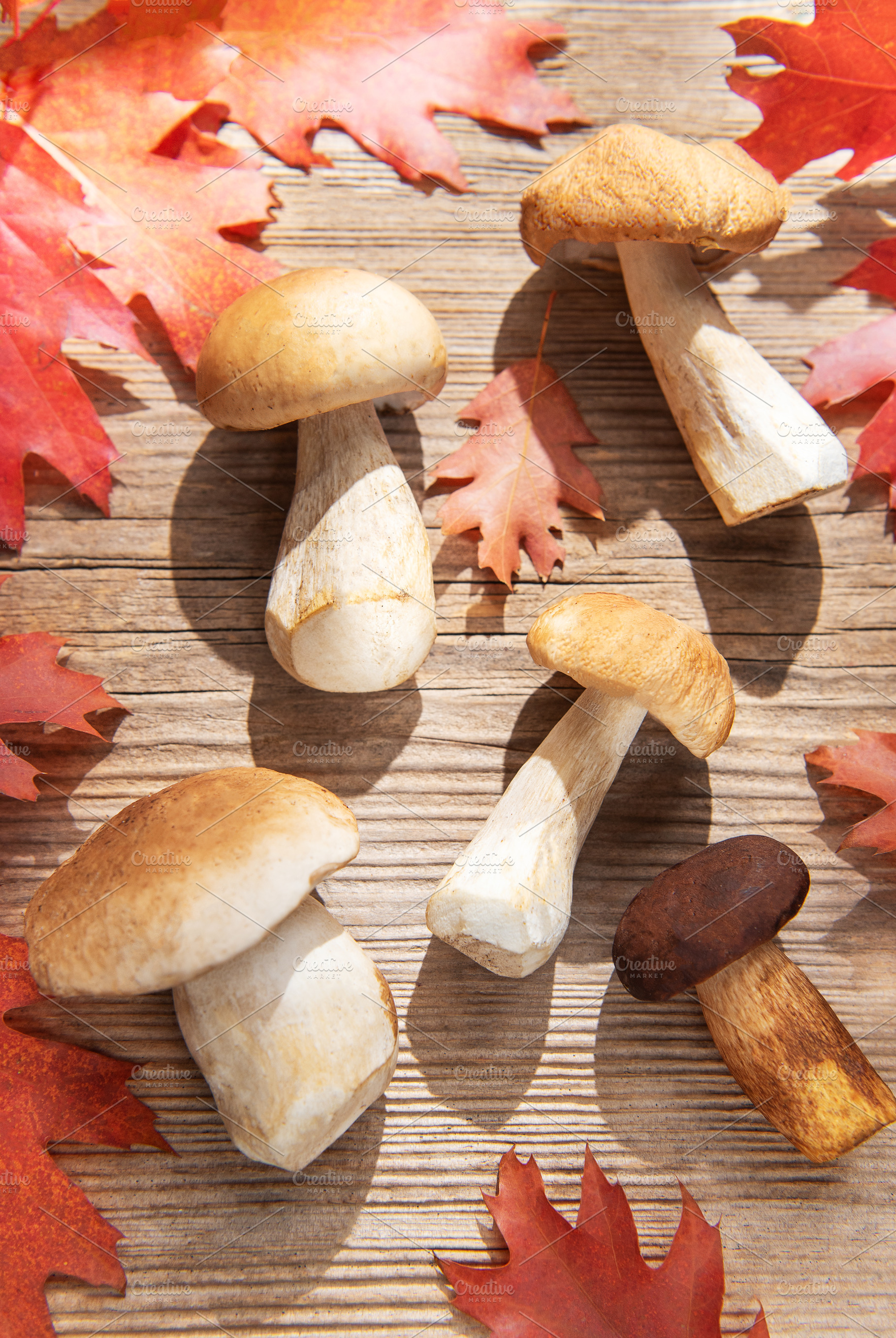 Porcini mushrooms with red autumn leaves on wooden table, a Food & Drink Photo by Olena Rudo