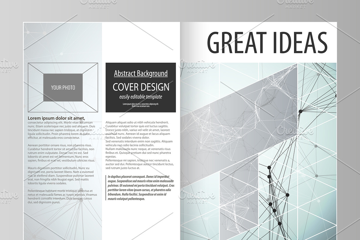 Mega Pack templates, a Brochure Template by VectorShop (Photo 37 of 102)
