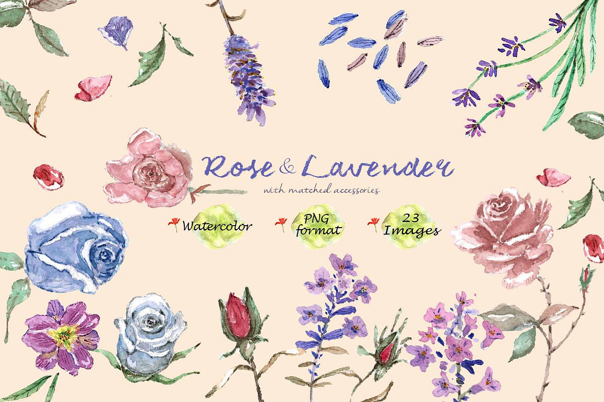 Lavender & Rose Clipart Set, a Seasonal Illustration by VianneArt (Photo 1 of 4)