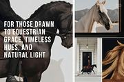 Dark Equestrian | 200 stock images, an Animal Photo by Tale.Haus (Thumbnail 3 of 13)