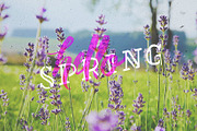Spring Lettering Pack, a Seasonal Illustration by JoshuaRed Design (Thumbnail 4 of 4)