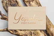 Carolisa Signature Script, a Script Font by LetterJos (Thumbnail 8 of 8)