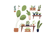 Houseplants, flowers in pots set, a Decorative Illustration by Good Studio (Thumbnail 2 of 3)