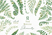 Fern Land. Watercolor Collection, an Illustration by OctopusArtis (Thumbnail 6 of 8)