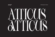 Vienna Modern Serif Font, a Serif Font by Fortunes Co (Thumbnail 3 of 15)