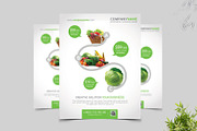 Product Sale/Promotion Flyer, a Flyer Template by ideaz_sabbir (Thumbnail 4 of 6)