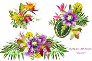 Tropical collection. Summer design., a Decorative Illustration by Lisima (Thumbnail 10 of 19)