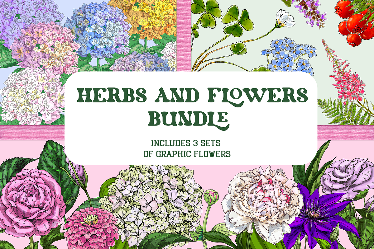 Flowers Illustration Bundle, a Decorative Illustration by Schumacher Shop (Photo 1 of 18)