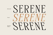 CS Gleda Mono – Monospaced Font, a Serif Font by Craft Supply Co. (Thumbnail 3 of 8)