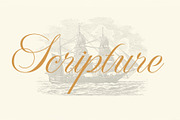 WT Hilton Script, a Font by Winston Type Co. (Thumbnail 5 of 9)