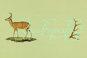 Auberge Script, a Script Font by Sudtipos (Thumbnail 7 of 11)