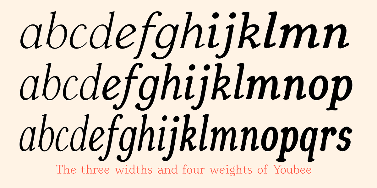 Youbee, a Serif Font by Ingrimayne Type (Photo 8 of 12)