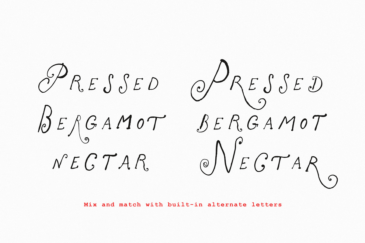 The Rose Atelier// Hand drawn Font, a Handwritten Font by PeachCreme (Photo 7 of 15)