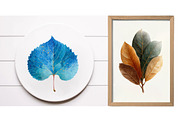Winter Leaves PNG Graphics Clipart, an Illustration by Designworld (Thumbnail 5 of 6)