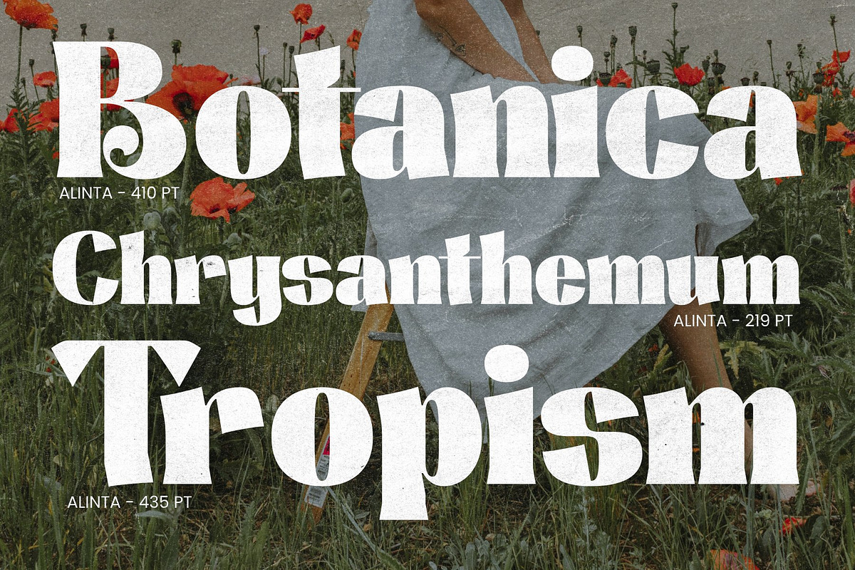 Alinta - Neo Retro Display Typeface, a Serif Font by Surplus Type Co (Photo 2 of 9)