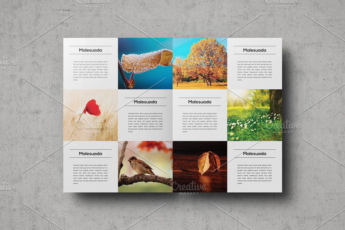 Multipurpose Portfolio Template, a Brochure Template by ShapShapy (Photo 8 of 14)
