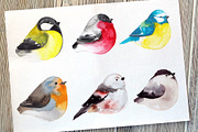 Birds watercolor, an Illustration by irina.vaneeva (Thumbnail 3 of 3)