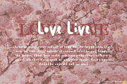 Le Gusto 50% OFF, a Font by Orenari (Thumbnail 12 of 16)