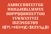 Nortone | Modern Sans, a Serif Font by Almeera Std (Thumbnail 4 of 7)
