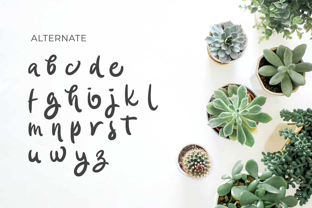 Siyuki Brush Script, a Script Font by Fikry Alfatih (Photo 8 of 9)