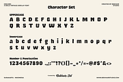 Discard – Bold Retro Display Font, a Serif Font by Bekhair Studio (Thumbnail 2 of 17)