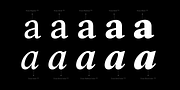 Frasa, a Serif Font by Tokotype (Thumbnail 3 of 12)