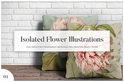 5x Isolated Flower Illustration (01), an Object Graphic by Europe.graphics (Thumbnail 1 of 7)