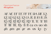 Jango Modern Serif Font, a Serif Font by Vampstudio (Thumbnail 10 of 12)