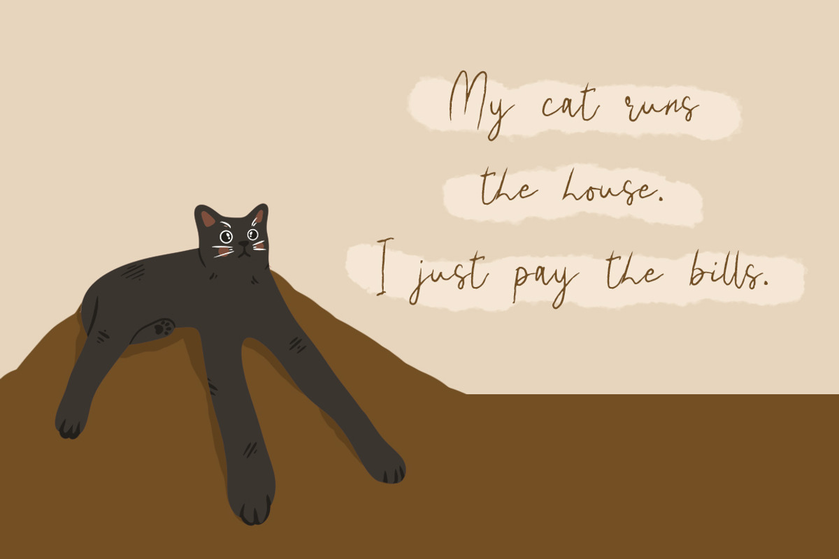 Weird is beautiful Font, a Handwritten Font by Bluestype Studio (Photo 5 of 8)